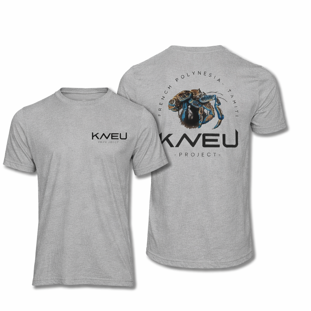 T-shirt Kaveu gris
